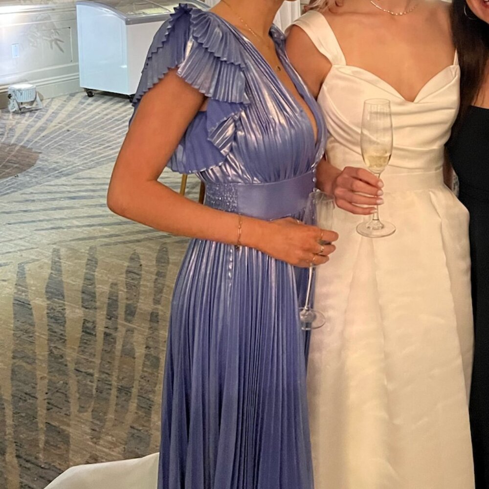 Alice + Olivia Blue (Niesha Midi/Maxi) Dress - Picture 3 of 5